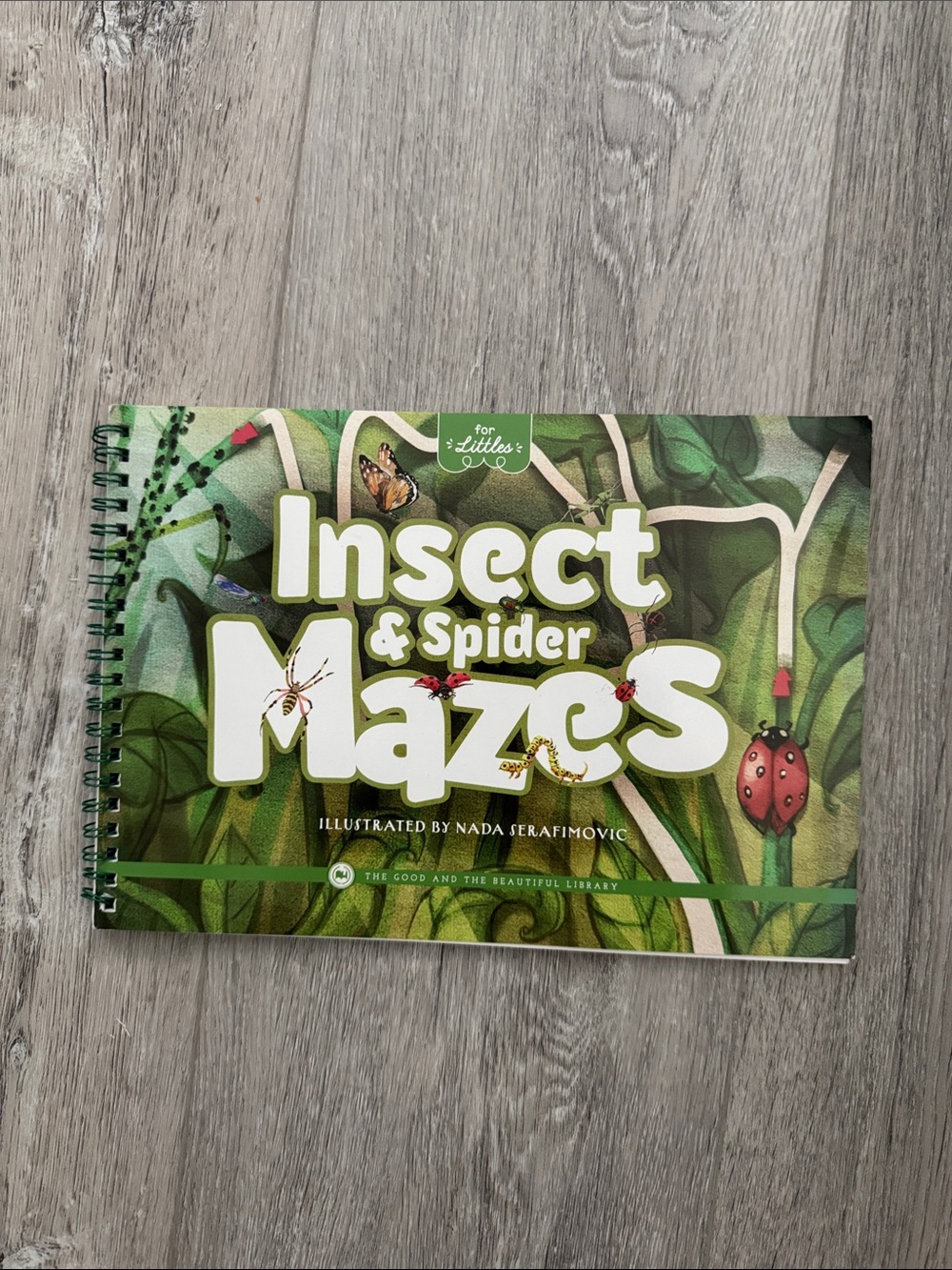 The Good and the Beautiful Insect & Spider Mazes Dry Activity Book